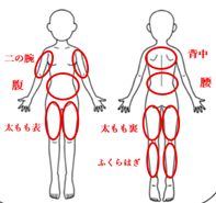 痩身機器の効果と部位